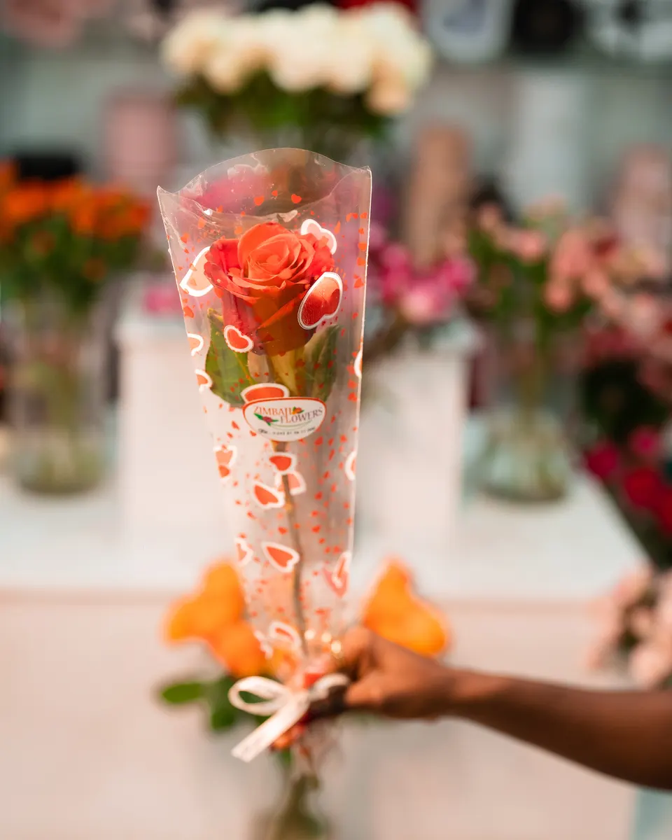 Rose individuelle (7$)